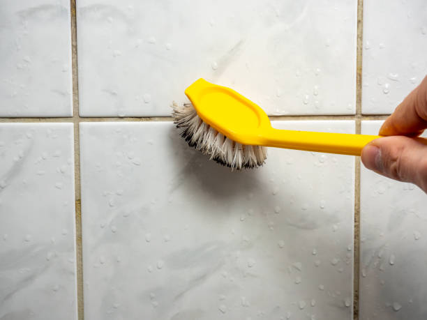 Best Mold Remediation Services  in Harkers Island, NC