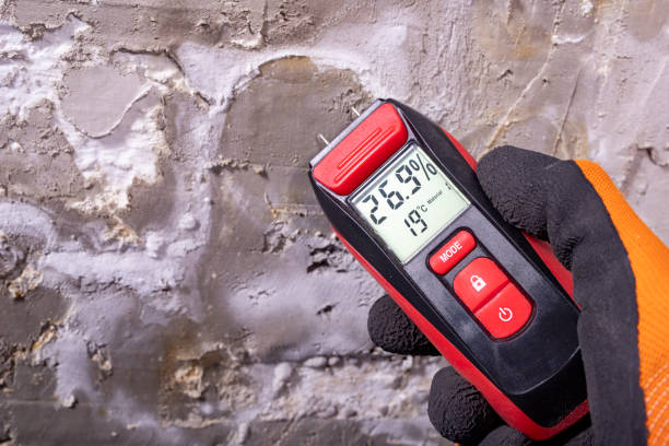 Best Black Mold Removal  in Harkers Island, NC