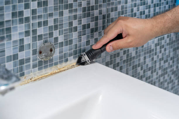 Harkers Island, NC Mold Removal Company