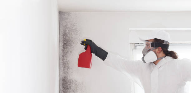 Best Crawl Space Mold Removal  in Harkers Island, NC