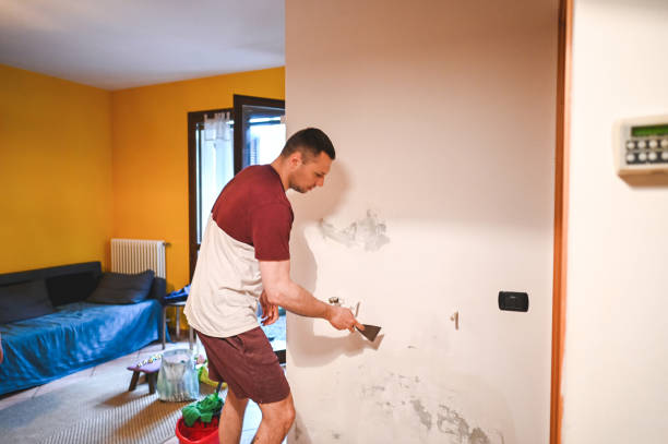 Best Fast Mold Removal  in Harkers Island, NC